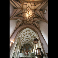 Meisenheim am Glan, Schlosskirche, Gewlbe und Blick zur Orgel