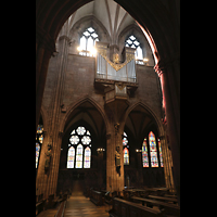 Freiburg, Mnster Unserer Lieben Frau, Blick vom Seitnschiff durch die Bgen zur Langhausorgel