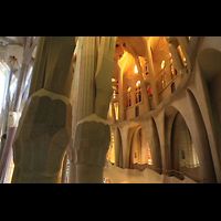 Barcelona, La Sagrada Familia, Blick vom Triforium auf die sich baumkronenfrmig aufspaltenden Sulen