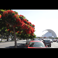 Santa Cruz de Tenerife (Teneriffa), Auditorio de Tenerife, Ansicht vom Parkplatz des Parque Maritimo Csar Manrique