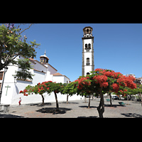 Santa Cruz de Tenerife (Teneriffa), Nuestra Seora de la Concepcin, Ansicht vom Osten vom Plaza de La Iglesia