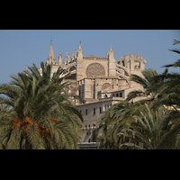 Palma de Mallorca, Catedral La Seu, Kathedrale mit Palmen des Parc de la Mar / Passaig Dalt Murada