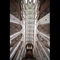 Lbeck, St. Marien, Innenraum mit Orgel; Blick zur Decke