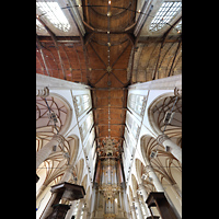 Alkmaar, Sint Laurenskerk, Blick ins Holzgewlbe der Vierung und zur groen Orgel