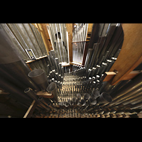 Alkmaar, Sint Laurenskerk, Pfeifen im Rckpositiv, gesamte Windlade, Cis-Seite