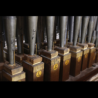 Alkmaar, Sint Laurenskerk, Pfeifen der Vox humana im Rckpositiv